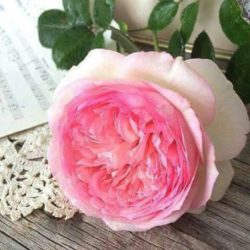 Состоится открытие выставки творческих работ мастериц города Сибай, посвященной Международному женскому дню 8 марта.