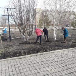 Сотрудники Центра народной культуры и досуга присоединились к акции "Чистый четверг" и навели порядок на прилегающей к зданию территории.