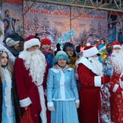 Главная городская елка дождалась своего звездного часа.