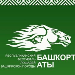 Конкурс рисунка в рамках фестиваля "Башкорт аты"