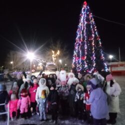 Открытие елки в парке